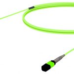 URVQPQPJ8 [OM5_MPO8_MPO8_8f]